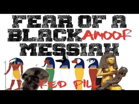 Red Pill - We are Witnessing The Fear of A Black Messiah 1
