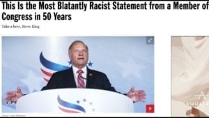 Prof. Griff- Steve King says 'Whites can't Restore their Civilization with Somebody else's Babies' 5