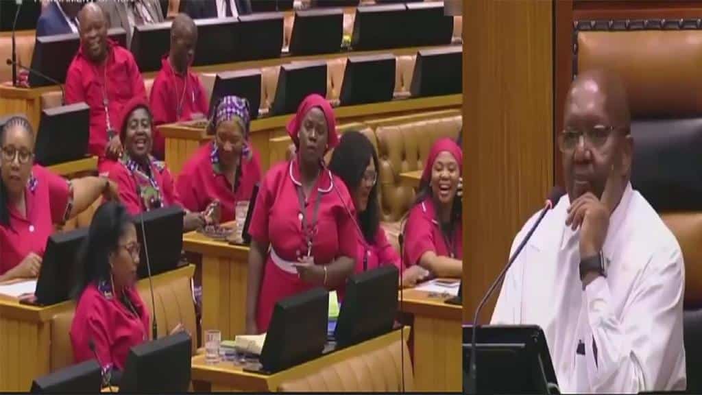 Deputy Speaker In South African Parliament Calls The EFF Anarchists 1