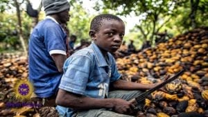 White Owned Chocolate Companies Use Child Slavery For Major Profits