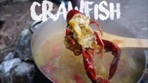 Catch n' Cook SPICY Crawfish | Jamaica Outdoor Cooking
