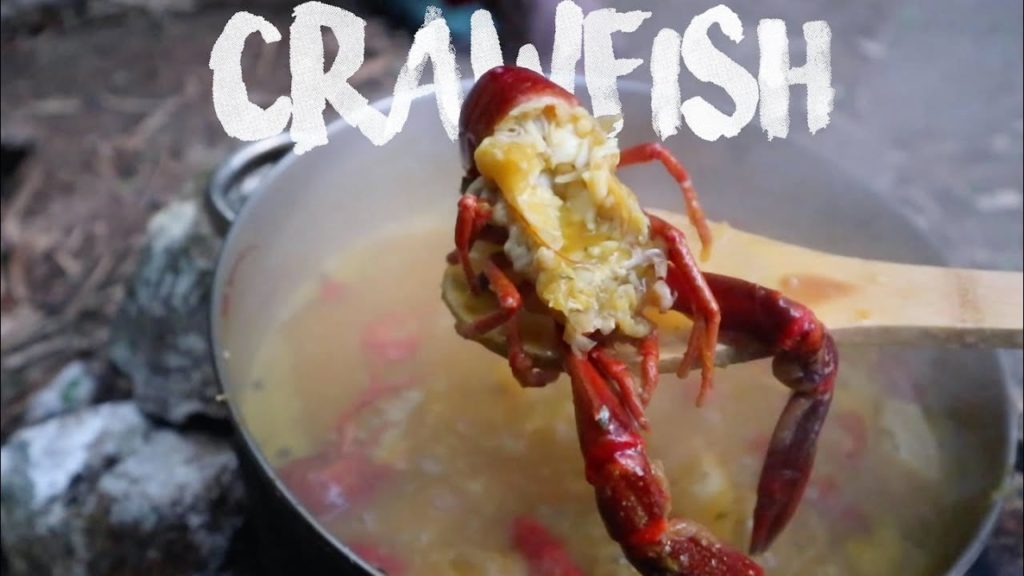 Catch n' Cook SPICY Crawfish | Jamaica Outdoor Cooking 1
