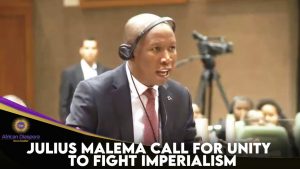 Julius Malema Call For Unity To Fight Imperialism 5